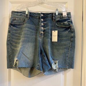 Blue Distressed Women Shorts